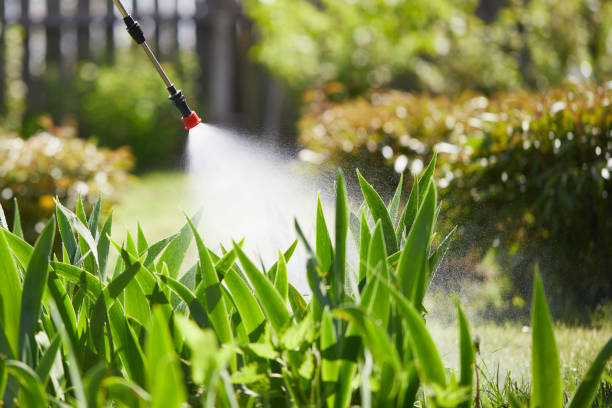 24/7 Emergency Mosquito Control experts in Rossville, IN