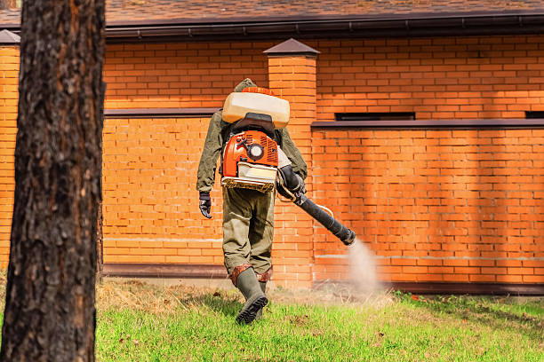 Top rated local Mosquito Control specialists in Rossville, IN